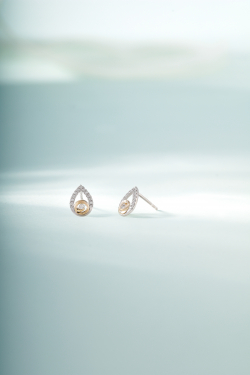 Bông tai BTBTV10CZH-502009